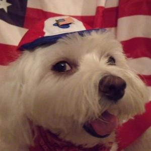 Meet your Posher, Mary